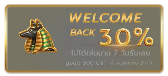 ต้อนรับกลับ by pyramid888